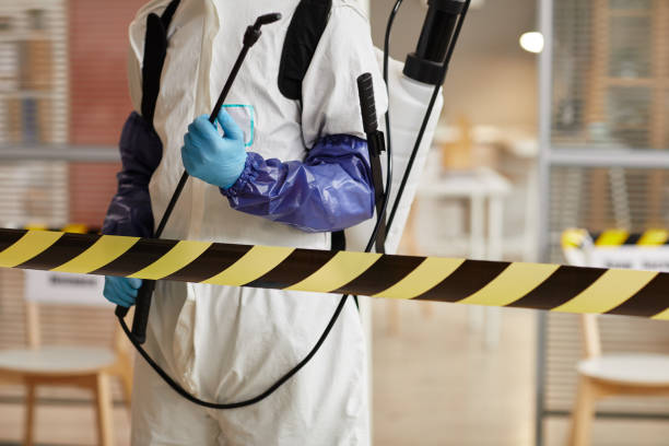 Professional Hoarding Cleanup technician working in Bridgeport, MI
